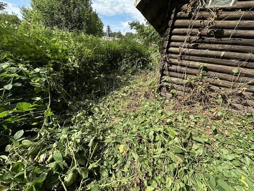 Foto - Grundst&uuml;ck zur Miete in Oederan