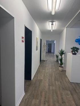 Foto - andere in Mainz