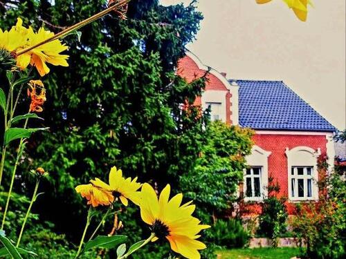 Foto - 7 Zimmer Einfamilienhaus zum Kaufen in Karstädt