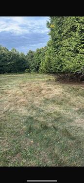 Foto - Einfamilienhaus in Blomberg zum Kaufen