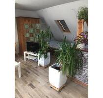 Voll möbliertes Apartment mit Balkon - Hamburg Billstedt