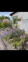 Foto - Kleingarten Schrebergarten zum Teilen Nordstadt