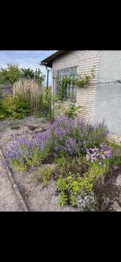 Foto - Kleingarten Schrebergarten zum Teilen Nordstadt