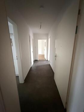 Foto - Helle, frisch renovierte 3-Zimmer-Wohnung im Erdgeschoss