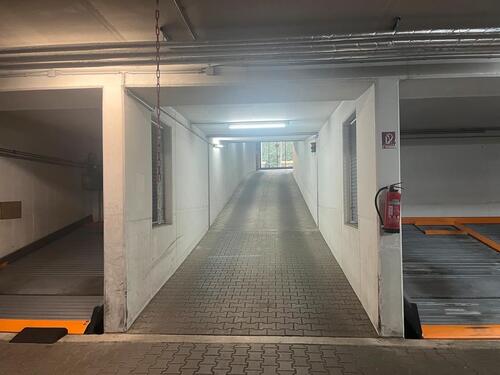 Foto - andere in Dresden