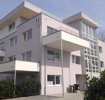 Von Privat: Sörgenloch: Sonnige 2-Zimmer-Wohnung im Grünen - Hochheim am Main