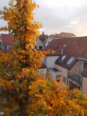 Foto - 2 Zimmer Etagenwohnung zur Miete in Gotha