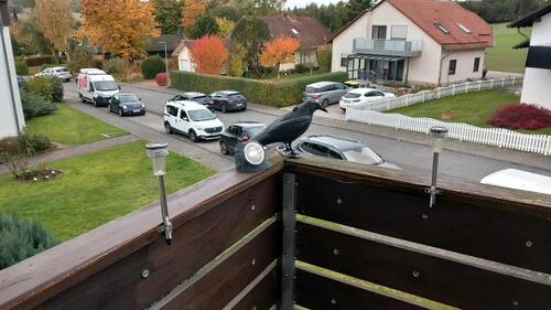 Foto - Wohnung Zimmer Appartement Quartier in Bad Emstal Ortsteil Sand