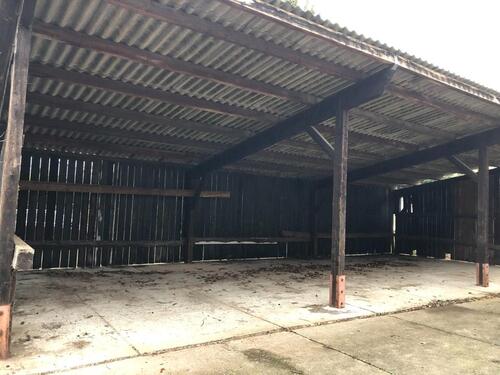 Foto - andere in Beindersheim