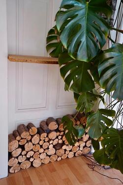 Foto - 4 Zimmer Etagenwohnung zur Miete in Karlsruhe