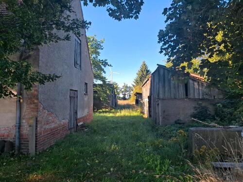 Foto - 3 Zimmer Einfamilienhaus in Kyritz