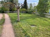 Foto - 3 Zimmer Doppelhaushälfte in Usedom
