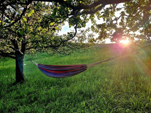 Foto - Unterkunft, Fewo, Urlaub, - 45,00&nbsp;EUR Kaltmiete, ca.&nbsp; 30,00&nbsp;m&sup2;