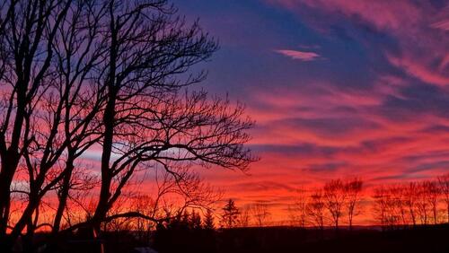 Foto - 2 Zimmer andere zur Miete in Neustadt in Sachsen