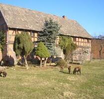 Bauernhof Resthof mit landw. Flächen MFH mit großem Grundstück - Wolfsburg Alt-Wolfsburg