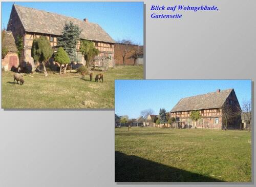 Foto - Einfamilienhaus zum Kaufen in Wolfsburg