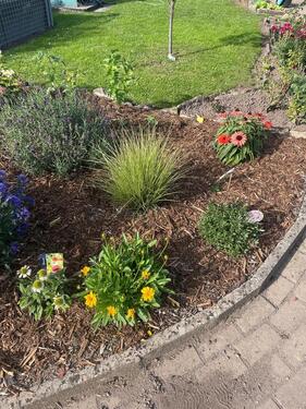 Foto - Pacht-Garten in Kleingartenanlage