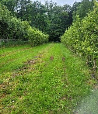 Foto - Grundst&uuml;ck zur Miete in Hofheim am Taunus