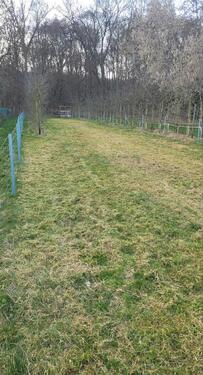 Foto - Grundst&uuml;ck in Hofheim am Taunus