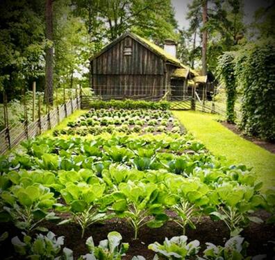 Foto - GESUCH Selbstversorger Garten Streuobstwiese mit kleinem Häuschen