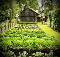 GESUCH Selbstversorger Garten Streuobstwiese mit kleinem Häuschen - Buttenwiesen