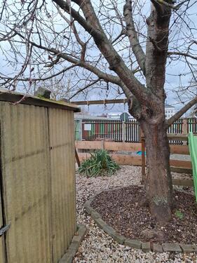 Foto - Grundst&uuml;ck in Zwickau