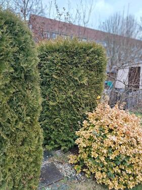 Foto - Grundst&uuml;ck in Zwickau zur Miete