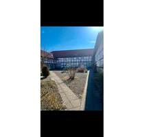 Kernsanierte 2-Zimmer-EG-Wohnung mit eigenem Garten - Sickte