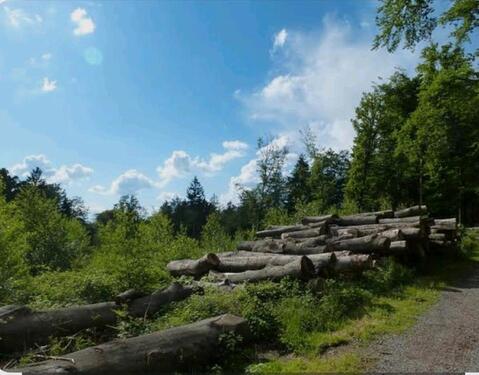 Foto - 3 Zimmer Erdgeschoßwohnung zum Kaufen in Duisburg