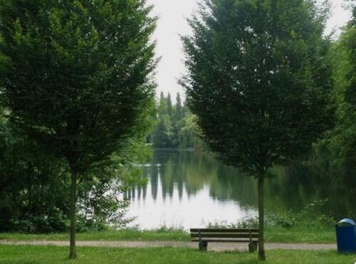 Foto - 3 Zimmer Erdgeschoßwohnung in Duisburg