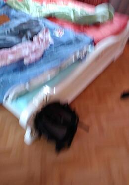 Foto - 1 Zimmer Etagenwohnung zur Miete in Freiburg im Breisgau