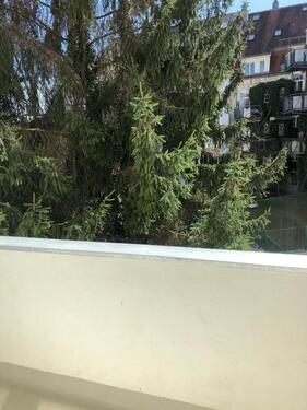 Foto - 1 Zimmer Etagenwohnung in Regensburg