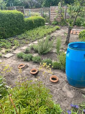 Foto - Grundst&uuml;ck zur Miete in Dresden