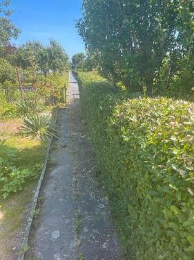 Foto - Grundst&uuml;ck in Dresden