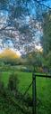 Foto - Schrebergarten - 5.500,00 EUR Kaltmiete, ca.  0,00 m²