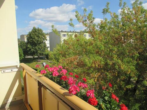 Foto - 3 Zimmer Etagenwohnung zur Miete in Gera