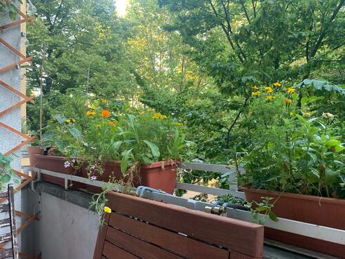 Foto - 2 Zimmer Etagenwohnung zur Miete in Berlin