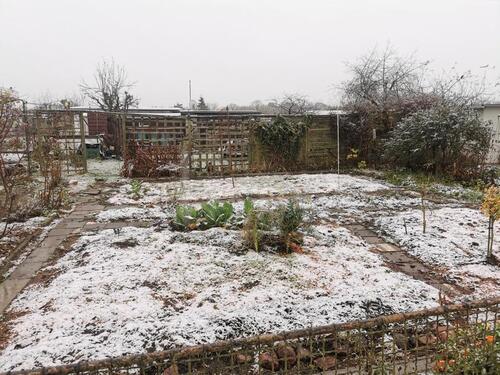 Foto - Gemeinsam gärtnern – mit Aussicht auf Übernahme