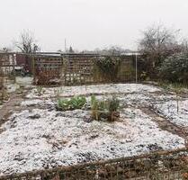Gemeinsam gärtnern – mit Aussicht auf Übernahme - Greifswald