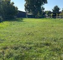 Wiese Feld Koppel für Pferde, Schafe, … zu verpachten - Mötzing