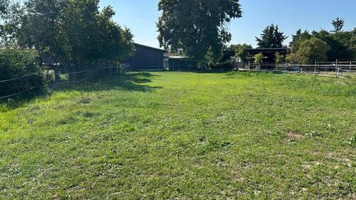 Foto - Grundst&uuml;ck in Mötzing zur Miete