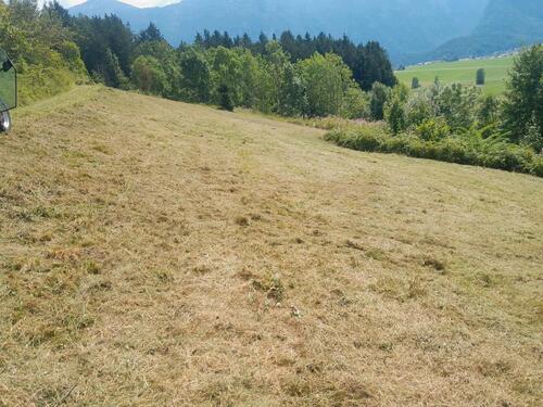 Foto - Grundstück in Traunstein zur Miete