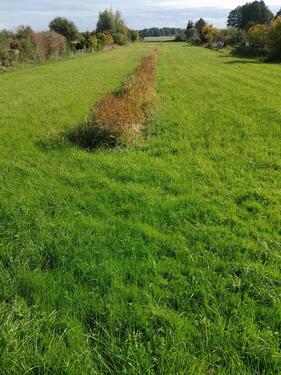 Foto - Wiese zu verpachten - 80,00 EUR Kaltmiete, ca.  0,00 m²