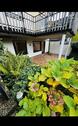 Foto - Single-Wohnung im Souterrain mit großer Terrasse
