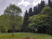 Foto - Grundstück Wald Wiese Weiher Freizeitgrundstück Mischwald