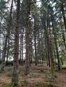 Foto - Grundst&uuml;ck in Kirchberg im Wald zur Miete