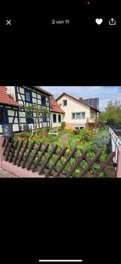 Foto - Einfamilienhaus in Bad Bergzabern