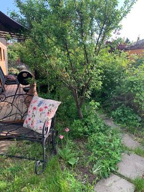 Foto - Grundstück in Dresden zur Miete