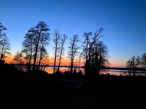 Foto - Einfamilienhaus in Arendsee (Altmark) zum Kaufen