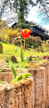 Foto - Idyllische Almhütte als Wohnhaus oder Wochenenddomizil